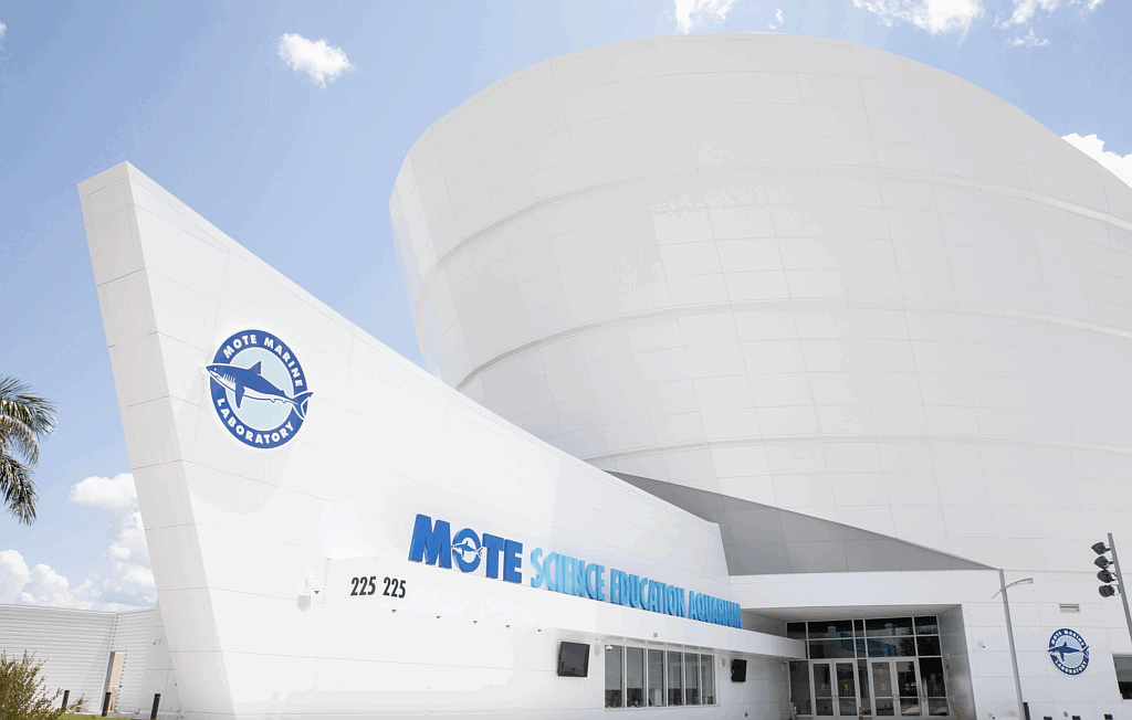 Mote Marine Laboratory and Aquarium is opening its SEA site in early October.